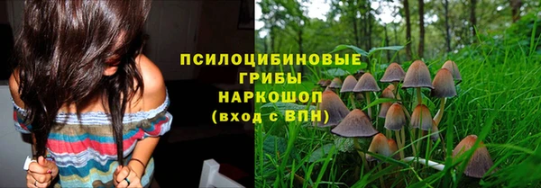 героин Алексин