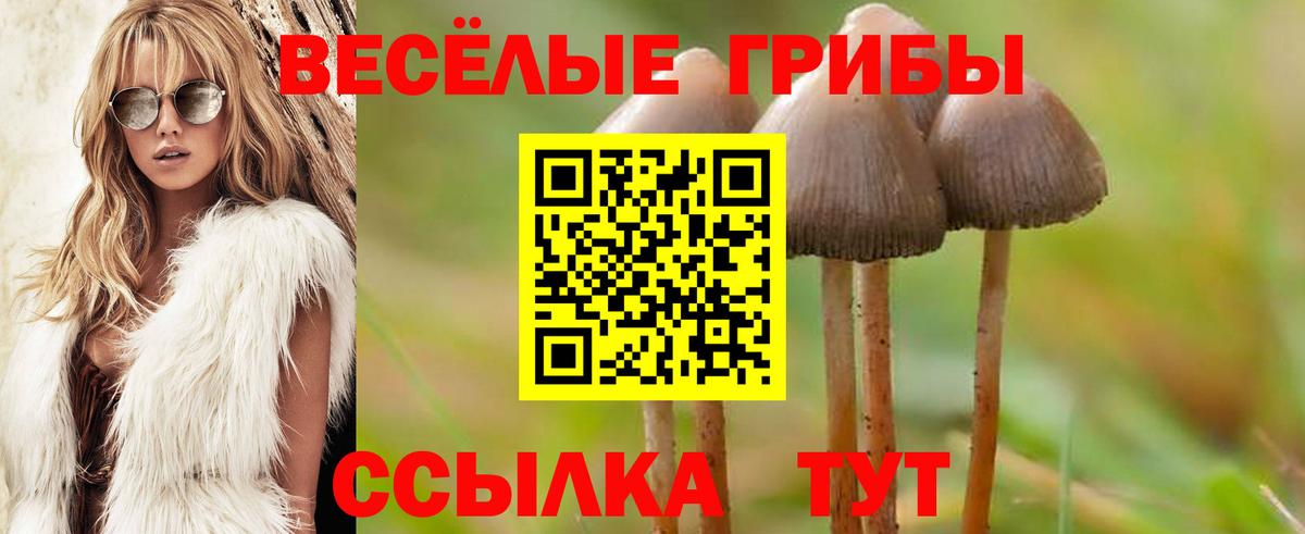 Галлюциногенные грибы Cubensis  Вход с VPN  Кимры 