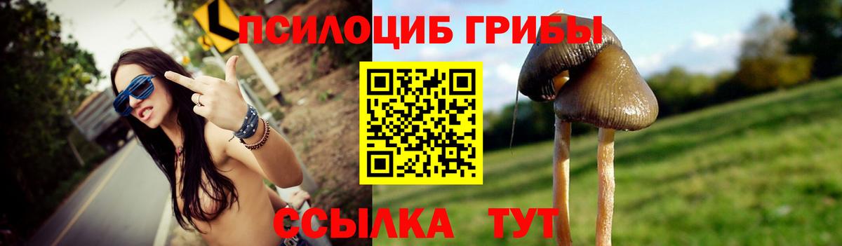 Галлюциногенные грибы Psilocybe Кимры