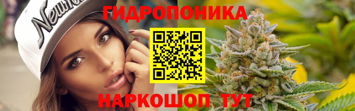 Бошки марихуана семена Кимры